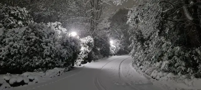 A snow covered track with trees either side with tyre marks in them from a moving car