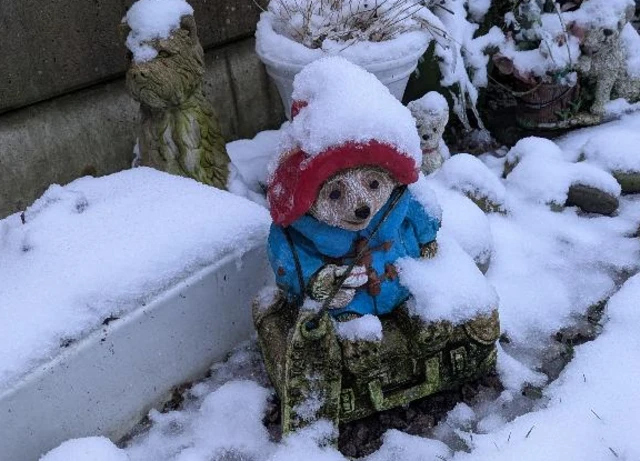 A statue of Paddington Bear Covered in snow