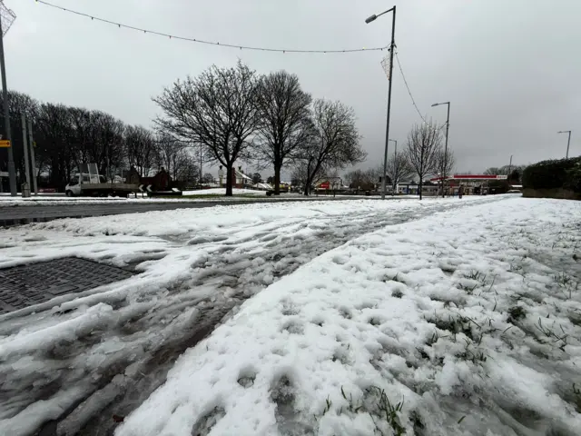 Slushy snow on a path with trees and a road beyond