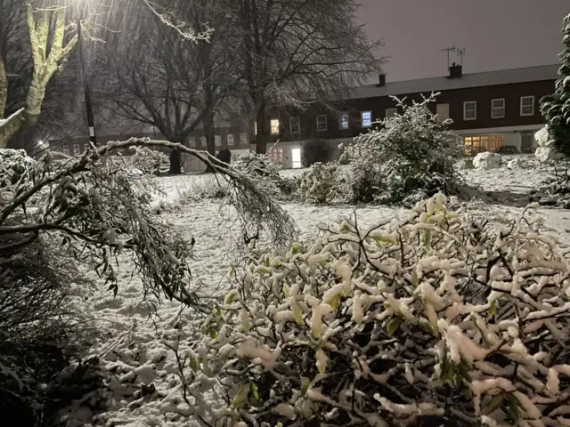 A garden at night with trees and buses covered in snow, with houses in the background, some with lights on