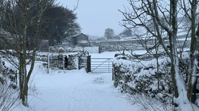 A snowy farm with dry stone walls, trees and metal gates.