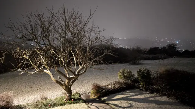 A tree stands in the foreground. The grass is covered in frost