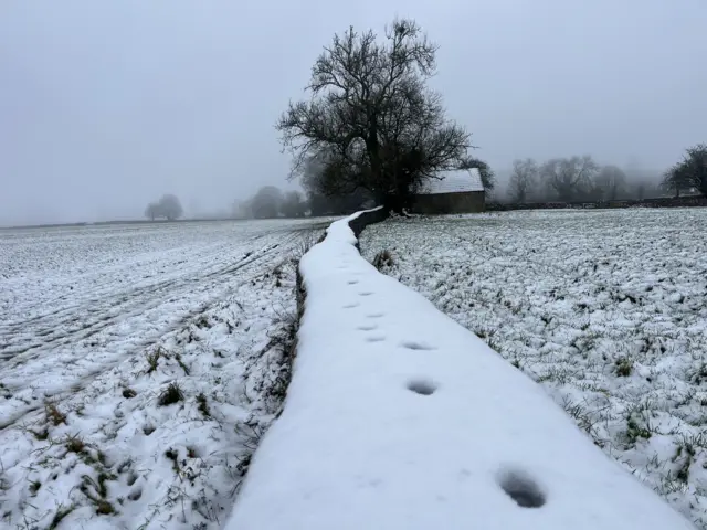 Fields covered in snow, with a narrow wall running in the middle of it. The wall has small footprints embedded in the snow