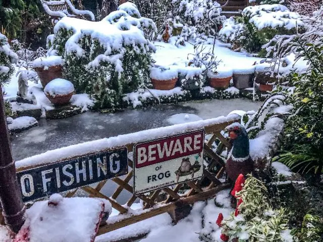 A frozen pond in Unstone, Derbyshire