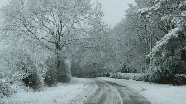 A snow covered rural road, with trees, grass and shrubs on the verge covered in snow.