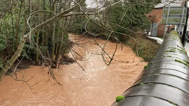 A brown brook is flowing with trees and bushed on either side of it. On the right had side in the foreground is a wall, while behind it there is a bank which has a makeshift wall of white sandbags piled up.