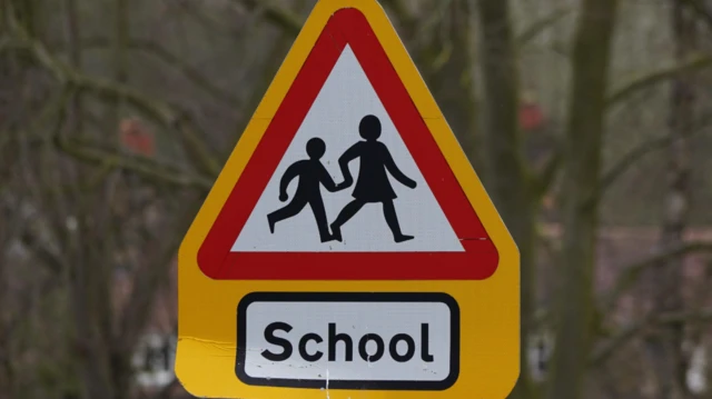 School crossing sign