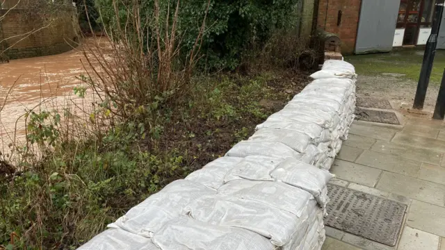 A row of white sandbags is piled up just above the bank of a brook. The water in the brook is high and brown. The bank is covered in green and brown weeds and plants with a large bush in the background.