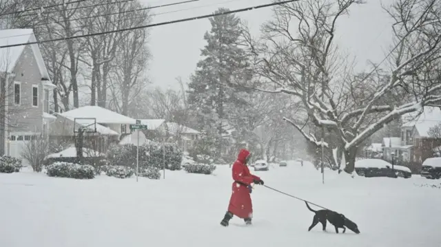 A woman walks a dog in the snow