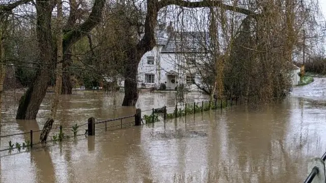 A house behind several big trees, as it all sits in deep floodwater