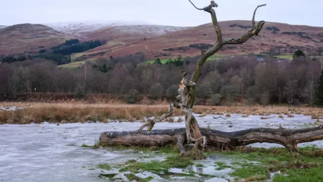 A fallen tree and plates of ice on agricultural farmland. Snow covered hills and moorland are visible in the background