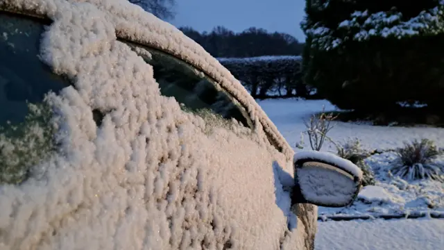 The right hand side of a car that is covered in snow. In the background, a lawn, tree and hedge are all covered in snow.