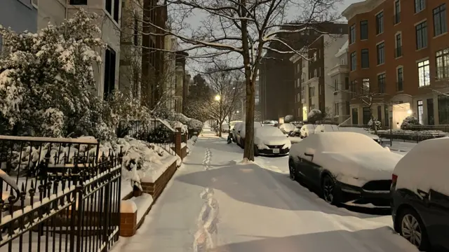 Snow covered cars and street with tree covered in white snow