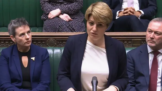 Environment minister Emma Hardy stands at the Commons podium with MPs sitting on the green benches behind her