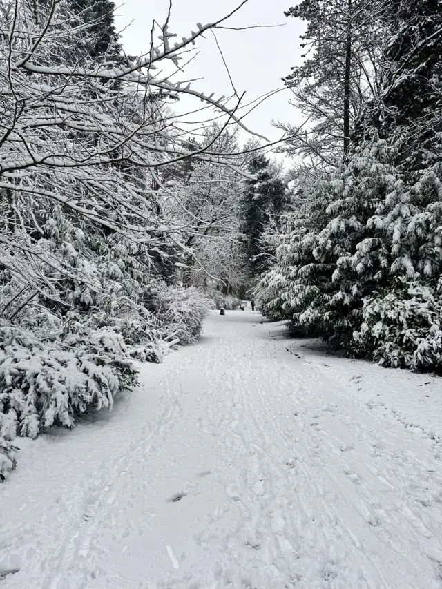 Whitehall Park, Darwen