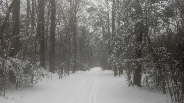 The snowy trails around DC