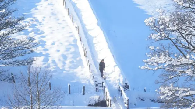 A dogwalker making their way through a snowy field in Northumberland