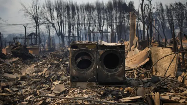 A burnt washing machine stands amid rubble in the Pacific Palisades neighbourhood on the west side of Los Angeles