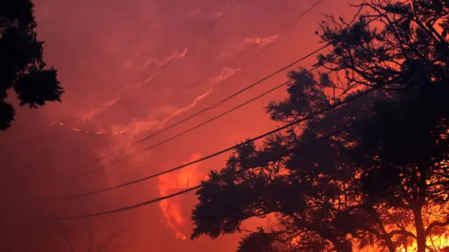 Active power lines burn in the Palisades wildfire.