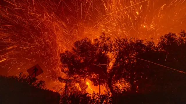 Trees are seen silhouetted against a dark orange sky, that is alit with flames that are being blown by strong winds