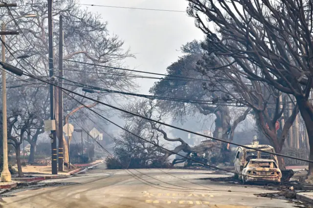 Downed power lines and trees during the Palisades Fire on Wednesday, January 8, 2025, in Pacific Palisades, CA. (