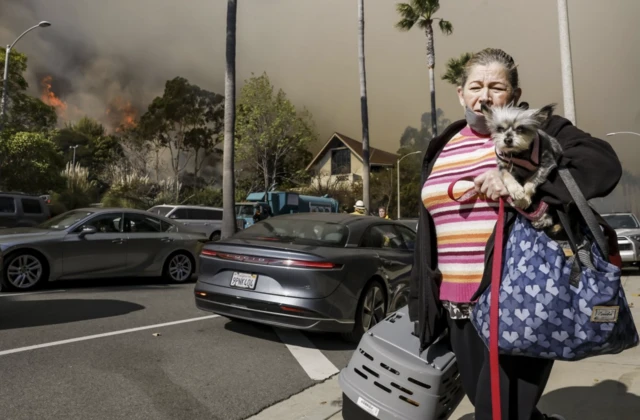 A woman carrying a dog as she evacuates a neighbourhood being threatened by the Palisades wildfire in Pacific Palisade