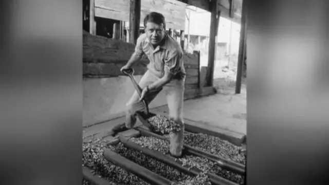 A black and white photo of Jimmy Carter, holding a shovel and picking up peanuts