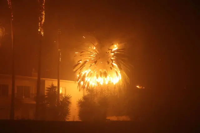 Fire destroys a palm tree outside a home in LA