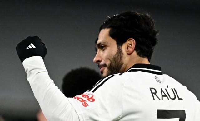 Fulham's Raul Jimenez celebrates