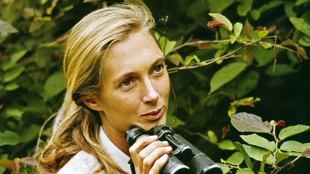 Jane Goodall holding binoculars.