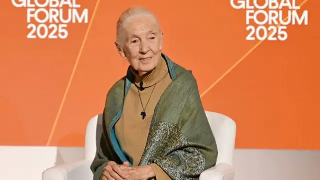 Goodall sitting on a white armchair in front of an orange background. She smiles and wears a green throw around her shoulders