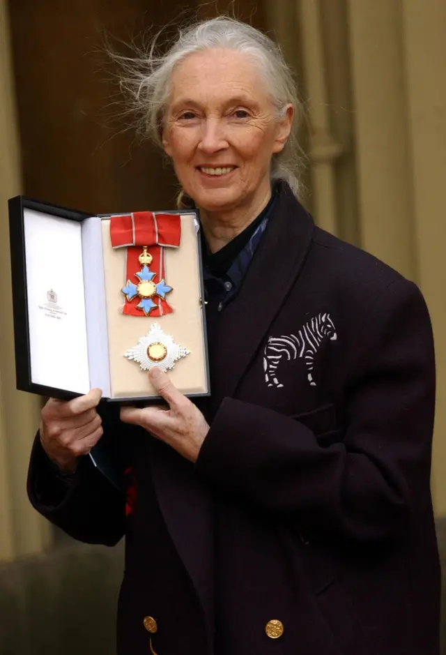 Jane Goodall, the world's foremost authority on chimpanzees, after being made a Dame by the Prince of Wales at Buckingham Palace in London