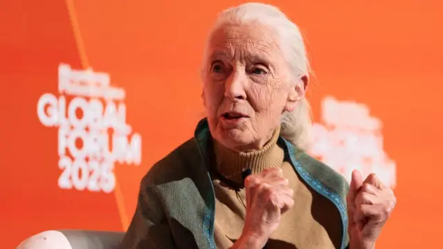 Jane Goodall