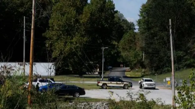 Some cars block a road surrounded by trees