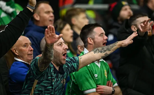 Nothern Ireland fans