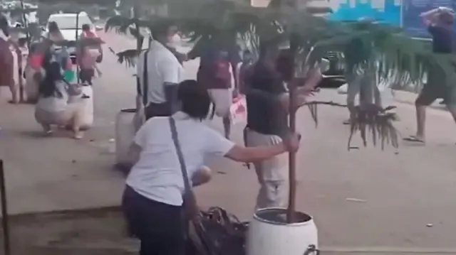 In this screengrab people can be seen holding on to trees and shrubs while the ground shook