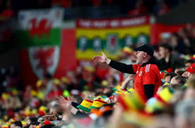 Wales fans