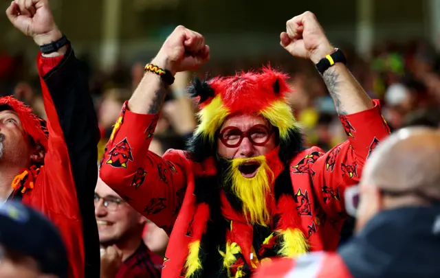 Belgium fans celebrate
