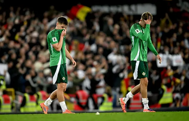 Northern Ireland players