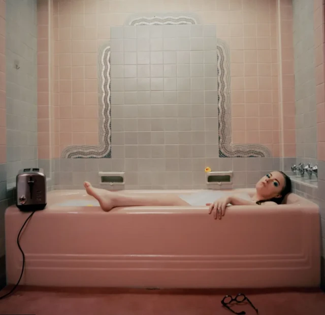 Her album cover, which show her lying in a pink bath with a toaster sat at the end of it