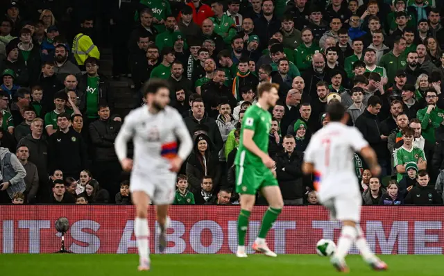 Republic of Ireland fans