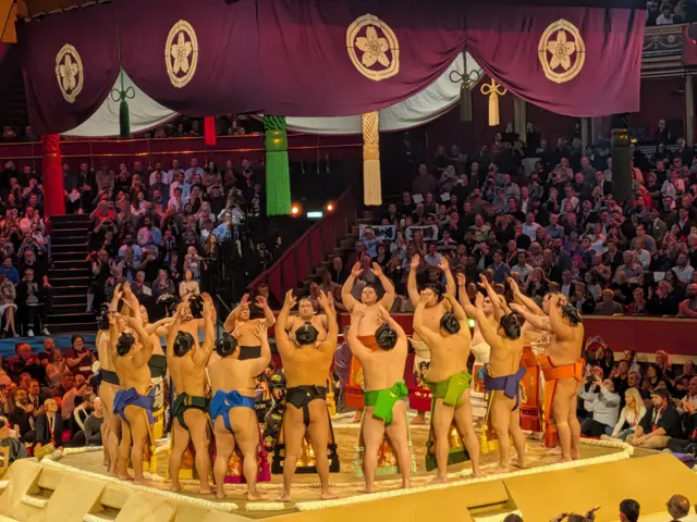 Sumo
