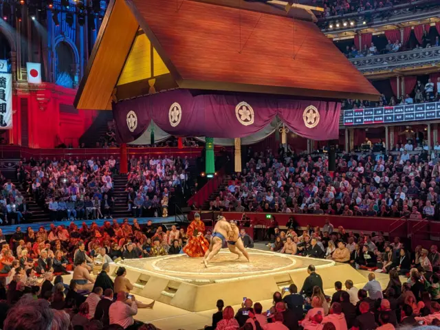 Sumo