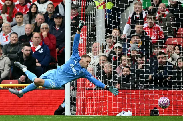 Forest Goal Keeper