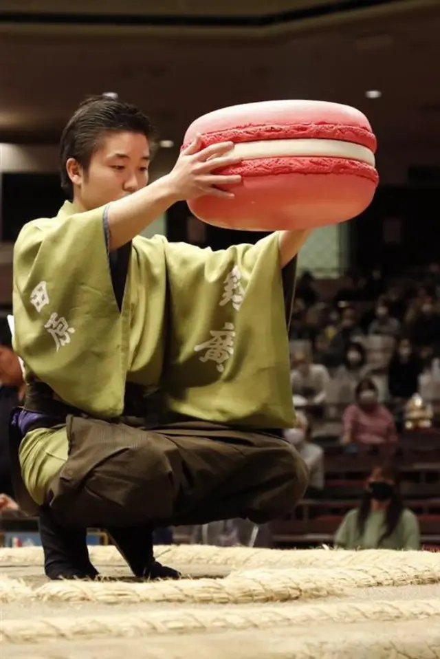 Sumo