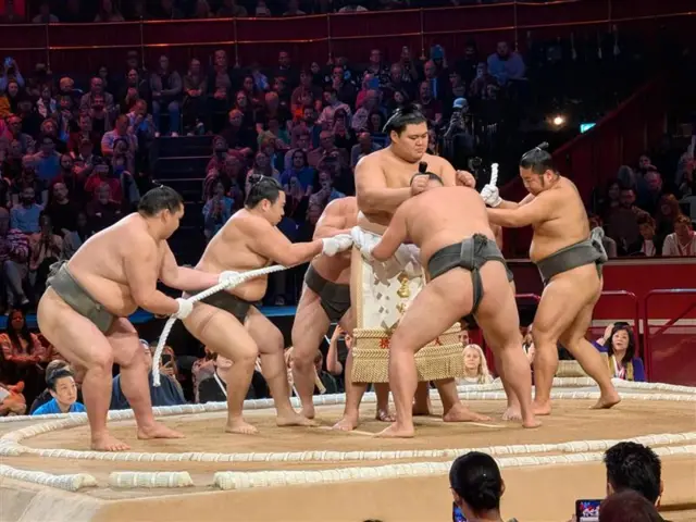 Sumo