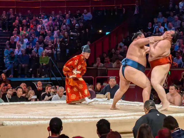 Sumo