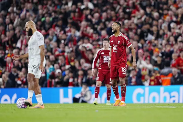 Gakpo roars in delight