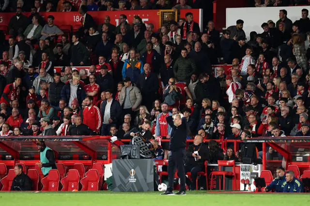 Ange Postecoglou reacts