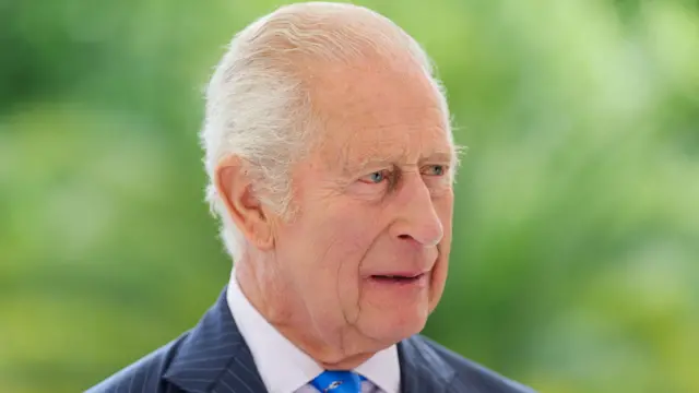 King Charles wearing a navy pinstripe suit and blue tie